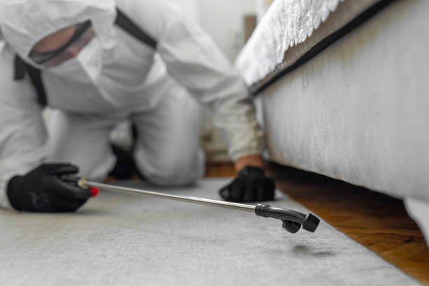 Professional Pest Control technician working in Purvis, MS