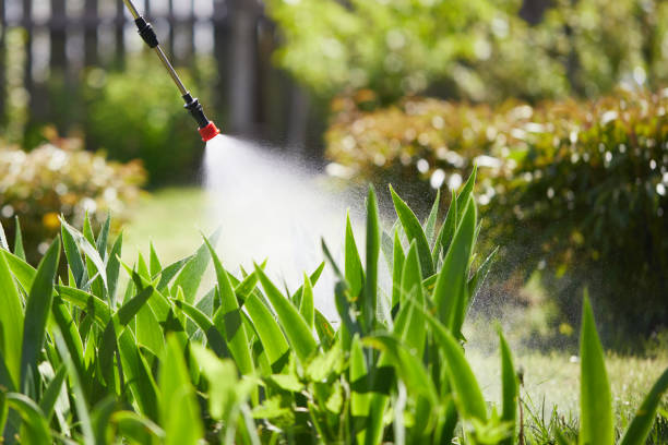 24/7 Emergency Pest Control experts in Purvis, MS