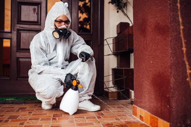 Reliable Pest Control contractor in Purvis, MS by Nex Pest Control