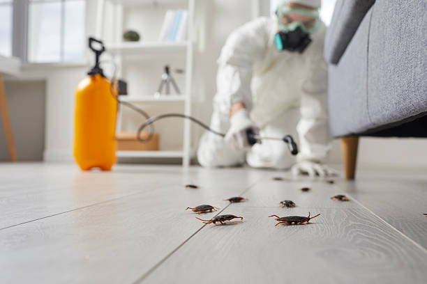 Affordable Pest Control solutions in Purvis, MS