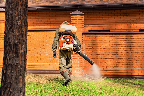 Top rated local Pest Control specialists in Purvis, MS